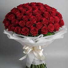 Букет 101 Красная роза Блэк Мэджик в Будановке