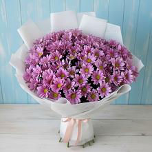 Букет цветов из:  Хризантемы #REPLACE_PRED# Будановке