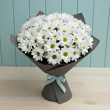 Букет цветов из:  Хризантемы в Будановке