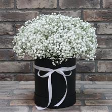 Цветочная композиция из Гипсофила в шляпной коробке в Будановке