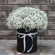 Цветочная композиция из Гипсофила в шляпной коробке в Будановке