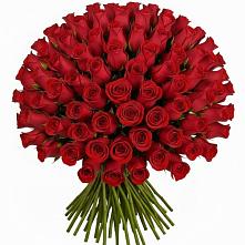 Букет Красные розы Чери Лав в Будановке