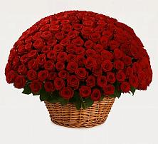 Премиум букет из: Розы в Будановке